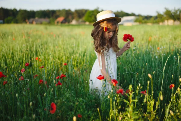 かわいいです女の子で牧草地で赤いポピー — ストック写真