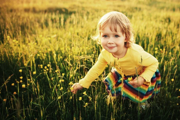 Nettes kleines Mädchen auf der Wiese — Stockfoto