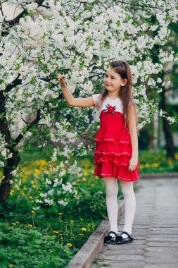 elma ağacı çiçek Park yakınındaki kız