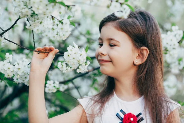Little girl at apple tree flowers — Stock Photo, Image