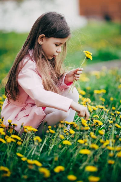 Маленькая девочка сидит на цветочном поле и чувствует себя счастливой — стоковое фото