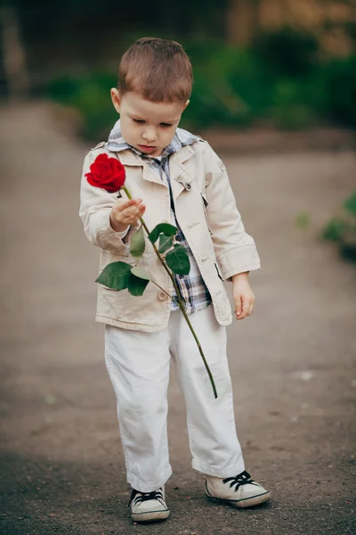 Menino pequeno com rosa vermelha — Fotografia de Stock