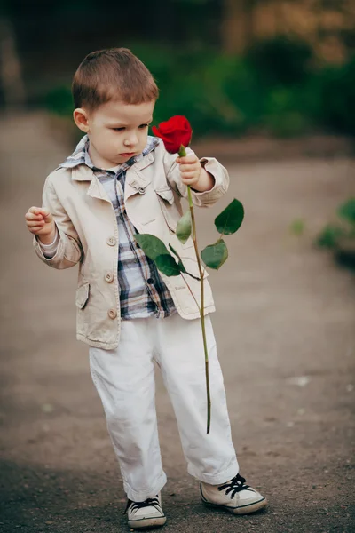 Piccolo ragazzo con rosa rossa — Foto Stock