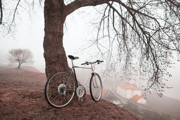 Bicicleta vieja cerca del árbol — Foto de Stock