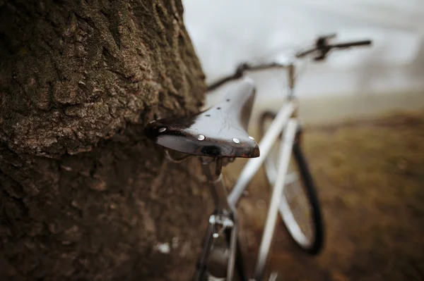Régi kerékpár a fának a közelében — Stock Fotó