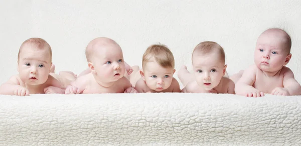 Bébés sur un fond clair Images De Stock Libres De Droits