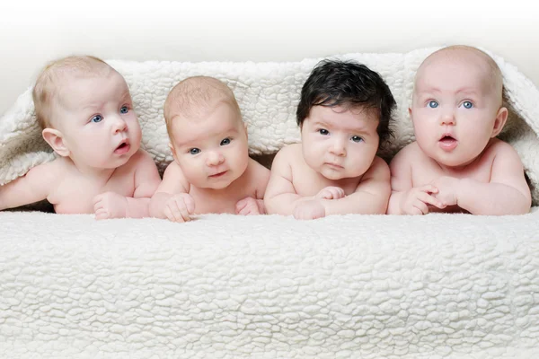 Bébés sur un fond clair Photos De Stock Libres De Droits