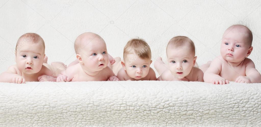 babies on a light background