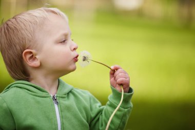 Karahindiba ile şirin küçük çocuk