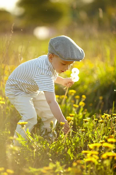 Mignon petit garçon avec des pissenlits — Photo