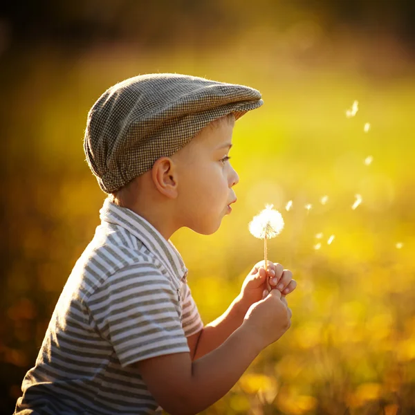 Schattige kleine jongen met paardebloemen — Stockfoto