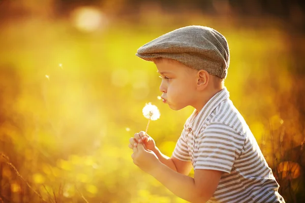 Söt liten pojke med maskrosor — Stockfoto