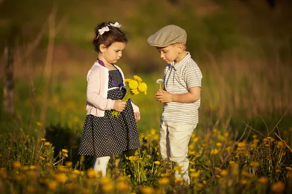 Chłopiec i dziewczynka w lato pole — Zdjęcie stockowe