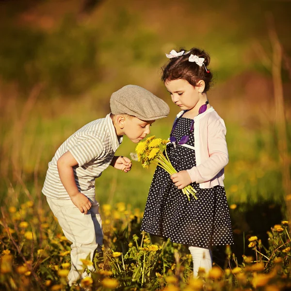 Jongen en meisje in zomer veld — Stockfoto