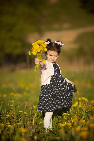 Dandelions ile sevimli küçük kız — Stok fotoğraf