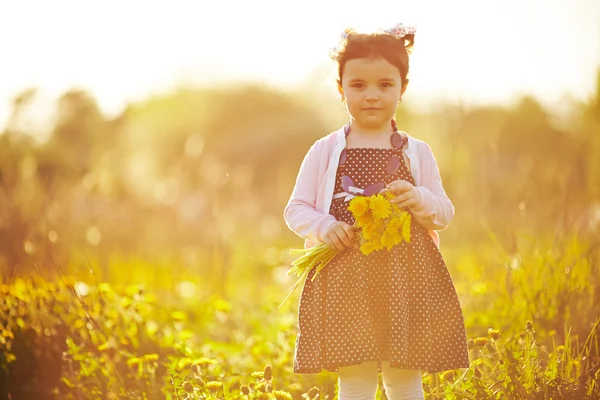 Carino bambina con denti di leone — Foto Stock