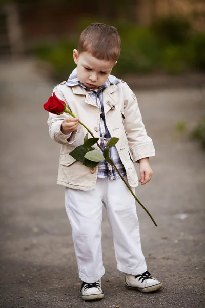 Menino bonito segurar vermelho rosa na mão — Fotografia de Stock