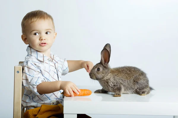 Liten pojke mata kaninen med morot — Stockfoto