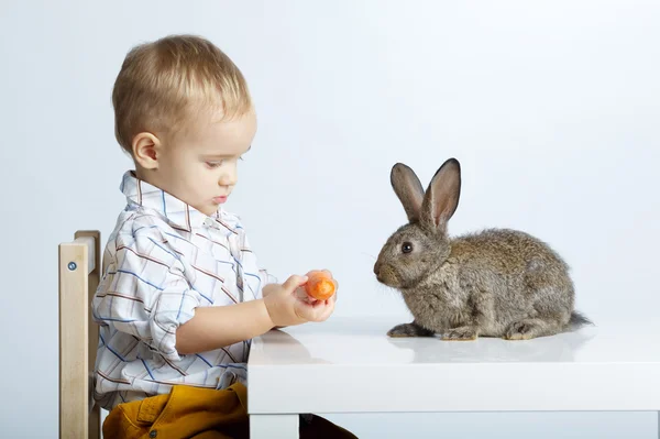 Мальчик кормит кролика морковью — стоковое фото
