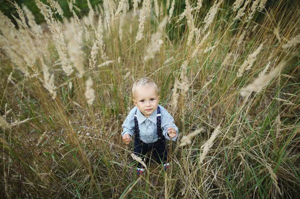 在高高的草丛中的小男孩画像。 — 图库照片