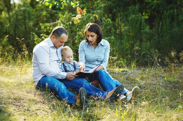 在公园里的家庭阅读本书 — 图库照片