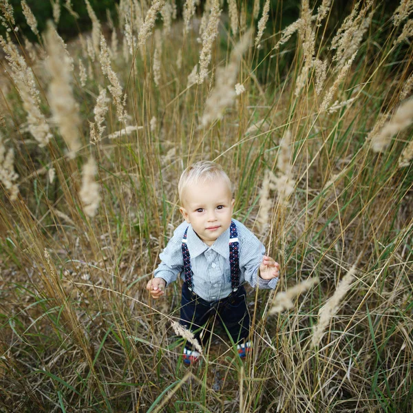 Petit garçon portrait dans l'herbe haute — Photo