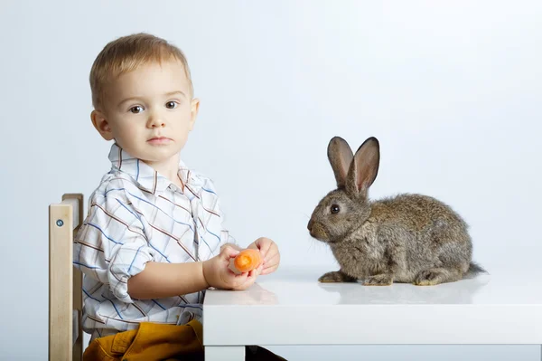 Liten pojke mata kaninen med morot — Stockfoto