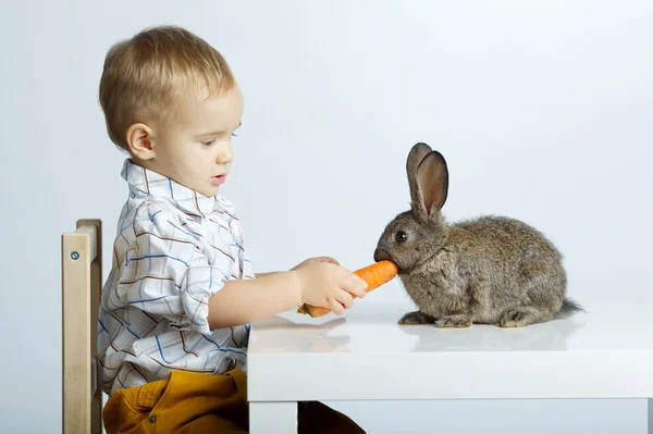 Liten pojke mata kaninen med morot — Stockfoto