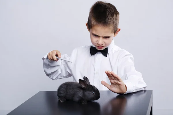 Pequeno mágico com coelho estúdio tiro — Fotografia de Stock