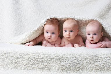 cute babies on light background clipart