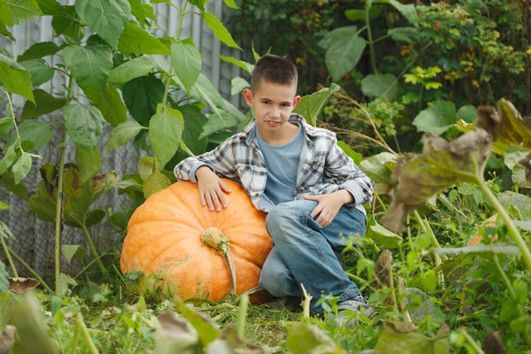 Funny boy with pumpkins in the garden — Stock Photo, Image