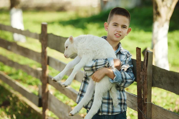 Menino com cordeiro na fazenda — Fotografia de Stock