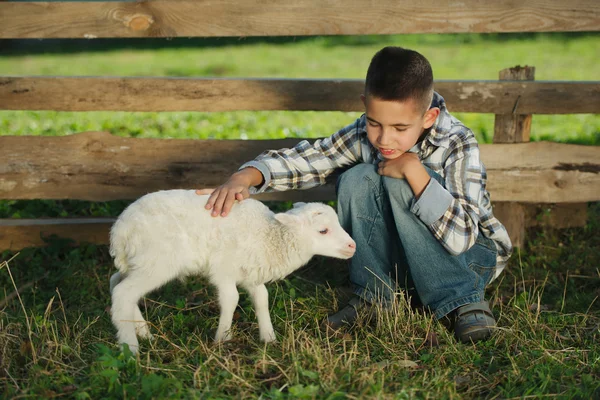 Menino com cordeiro na fazenda — Fotografia de Stock