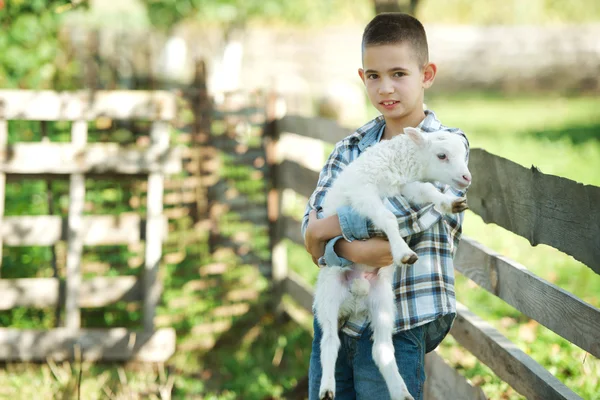 Menino com cordeiro na fazenda — Fotografia de Stock