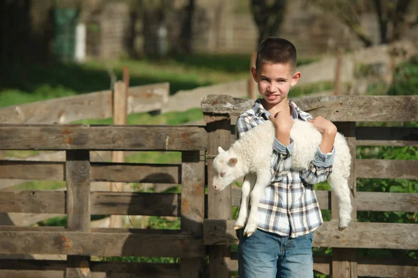 Мальчик с ягненком на ферме — стоковое фото