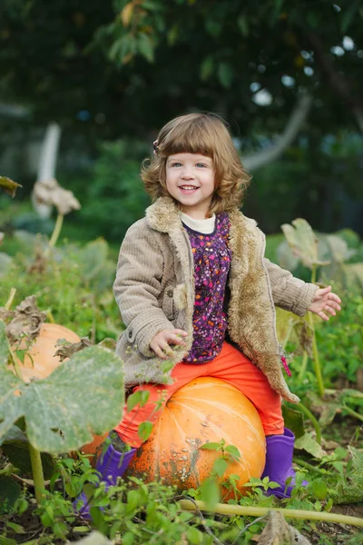 Lustiges Mädchen mit Kürbissen im Garten — Stockfoto