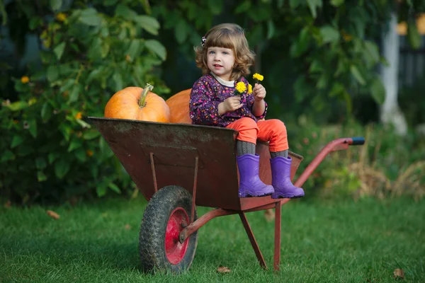 Grappig meisje met pompoenen in de tuin — Stockfoto