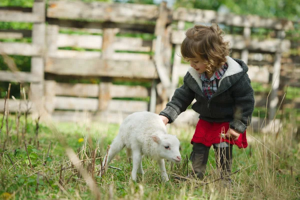 Fille avec agneau à la ferme — Photo