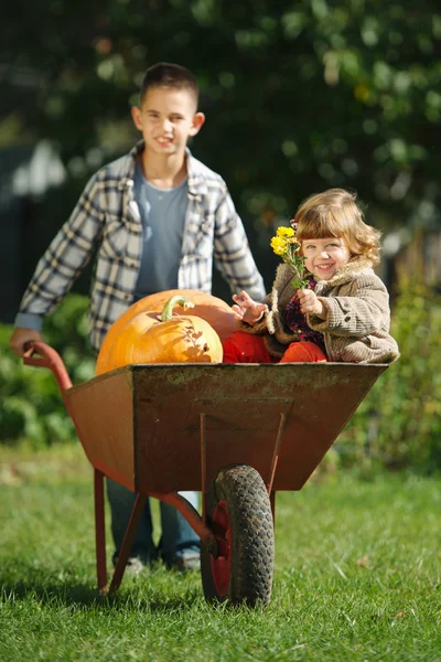 Dziewczyna i chłopak z dyni w ogrodzie — Zdjęcie stockowe