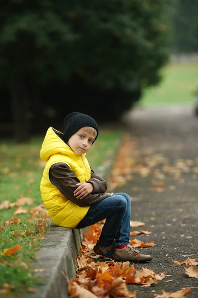 Liten rolig pojke i höst lämnar porträtt — Stockfoto