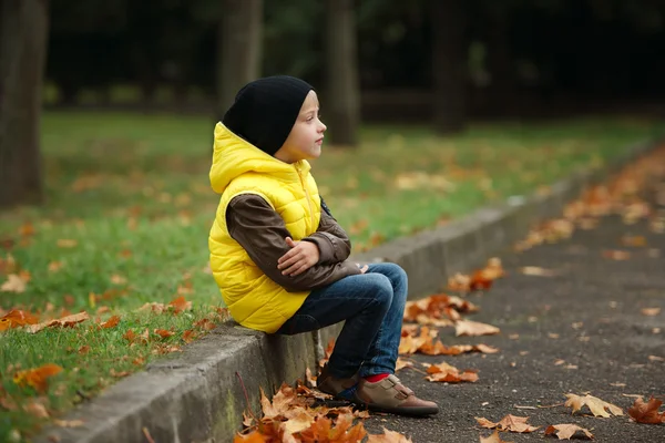 秋に面白い少年葉の肖像画 — ストック写真