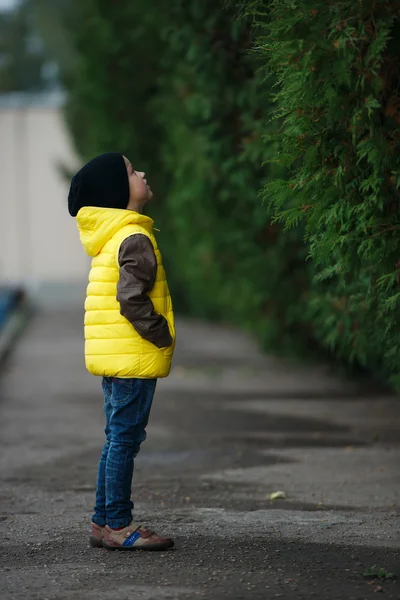 Retrato de niño lindo — Foto de Stock