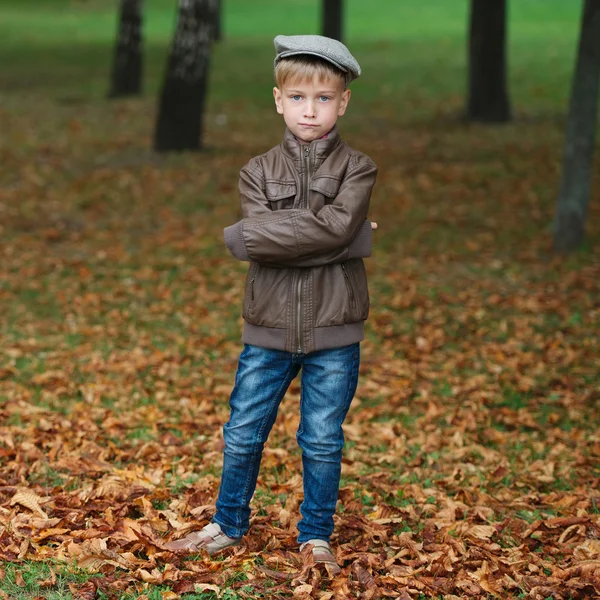 Little funny boy in autumn leaves portrait — Stock Photo, Image
