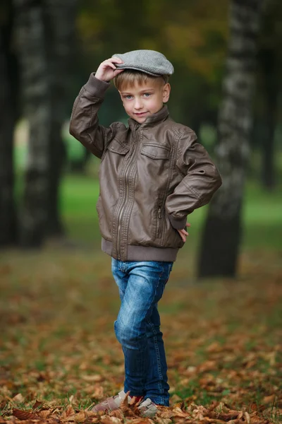 Kis vicces fiú őszi levelek portré — Stock Fotó