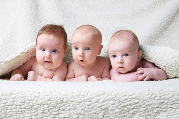 Niedliche Babys auf hellem Hintergrund — Stockfoto