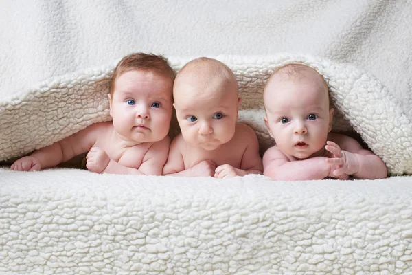 Bébés mignons sur fond clair — Photo