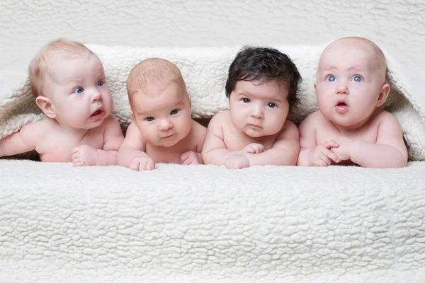 Bebés lindos sobre fondo claro — Foto de Stock