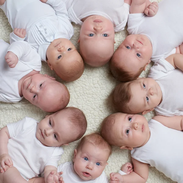 Bébés mignons sur fond clair — Photo