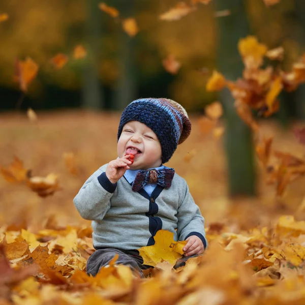 Cute little baby in autumn park — Stock Photo, Image