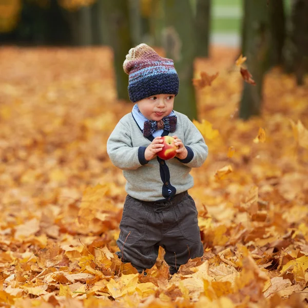 Sladké dítě v podzimním parku — Stock fotografie